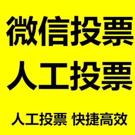 红河哈尼族彝族自治州投票活动拉票能被查出来吗？如何操作能不被发现？